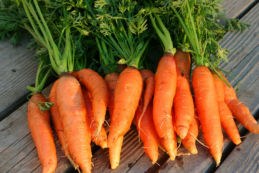 Carrots